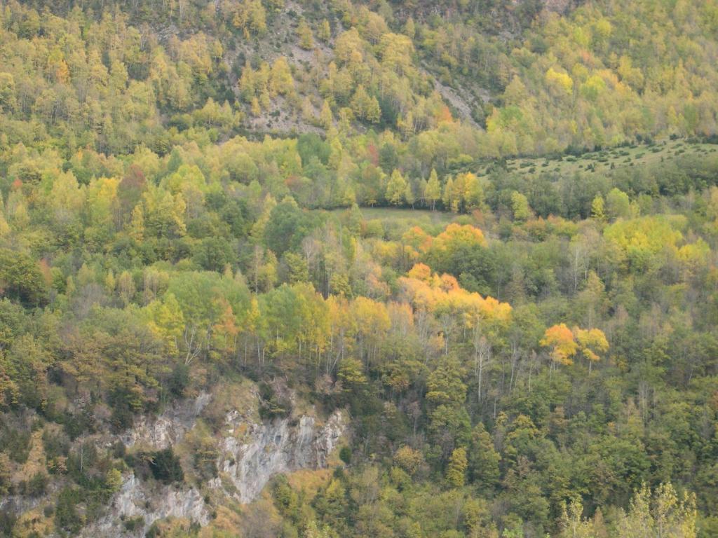 Apartamentos Estop Sahun Pokoj fotografie